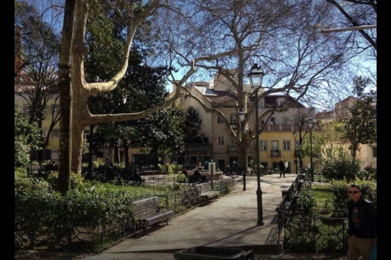 New Charming Flat - Lisbon Center公寓 外观 照片